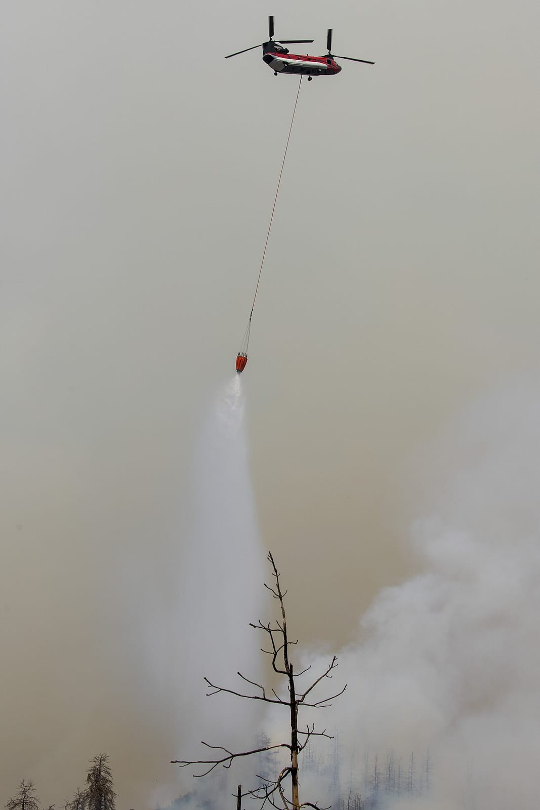 Photograph of the aircraft
